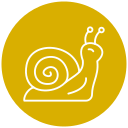 caracol icon