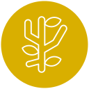 sucursal icon