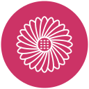 margarita gerbera icon