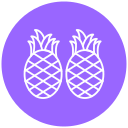 piña icon