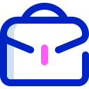 bolso icon