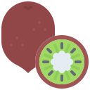 kiwi icon