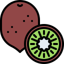 kiwi icon