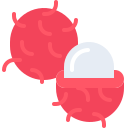 rambután icon