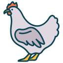 Hen 