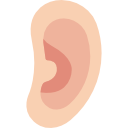 Ear 