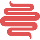 Intestine 