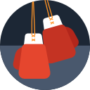 boxeo icon