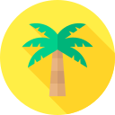 palmera icon