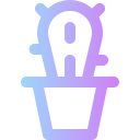 cactus icon