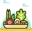 comida sana icon