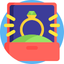 anillo icon