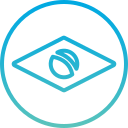 Бразилия icon