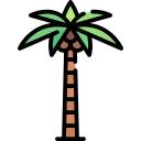 Árbol de coco icon