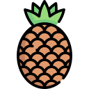 piña icon