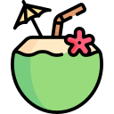 bebida de coco icon