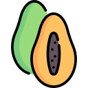 papaya icon