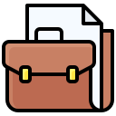 portafolio icon