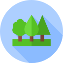 bosque icon