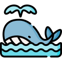 ballena icon