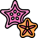 estrella de mar icon