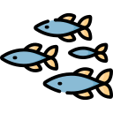 pescado icon