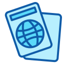 pasaporte icon