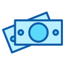 dinero icon