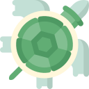 tortuga icon