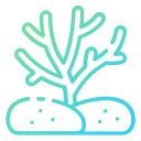 coral icon