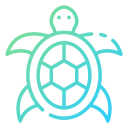 tortuga icon