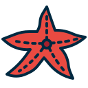 estrella de mar icon