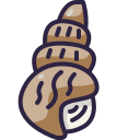 concha icon