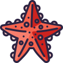 estrella de mar icon