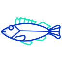 pescado de roca icon