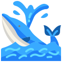 ballena icon