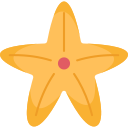 estrella de mar icon