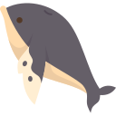 ballena icon