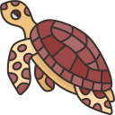 tortuga 