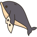 ballena