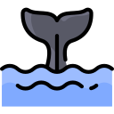 ballena icon