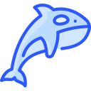 orca 