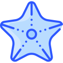 estrella de mar icon