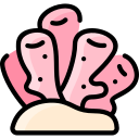 coral icon