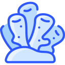 coral icon