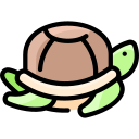 tortuga icon