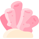 coral icon