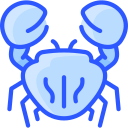 caranguejo icon
