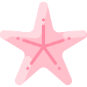 estrella de mar 