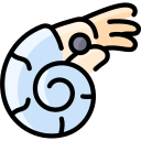 nautilo icon